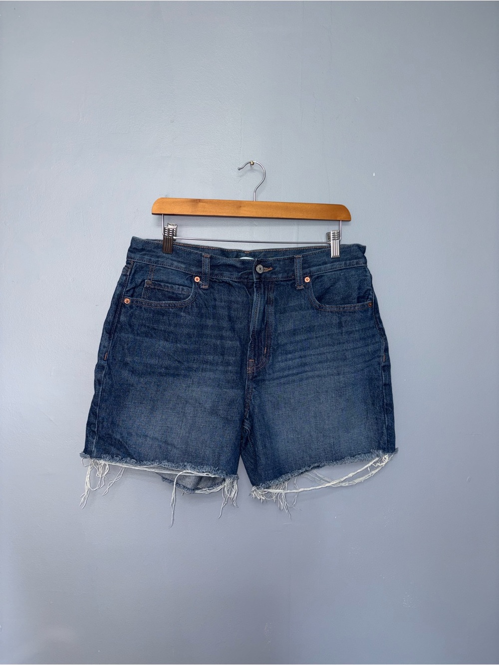 Old Navy | Jean Shorts | Size 10